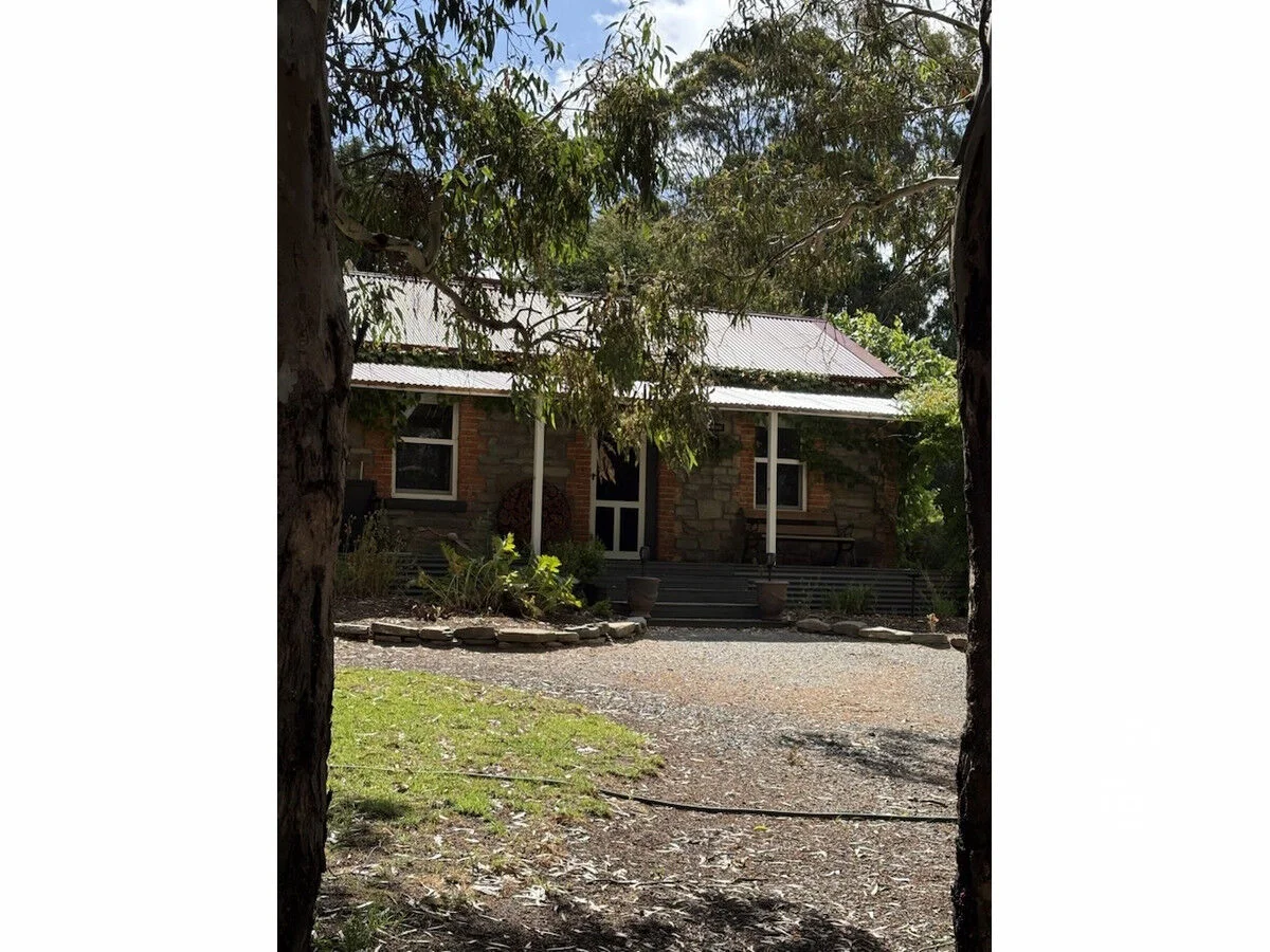 Image 36