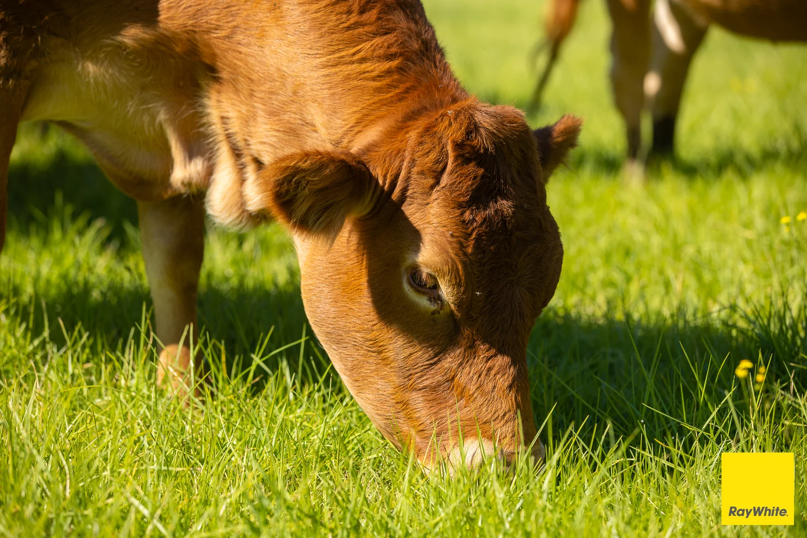 Additional image 28 of 658 Booral Road, Crawford River NSW 2423
