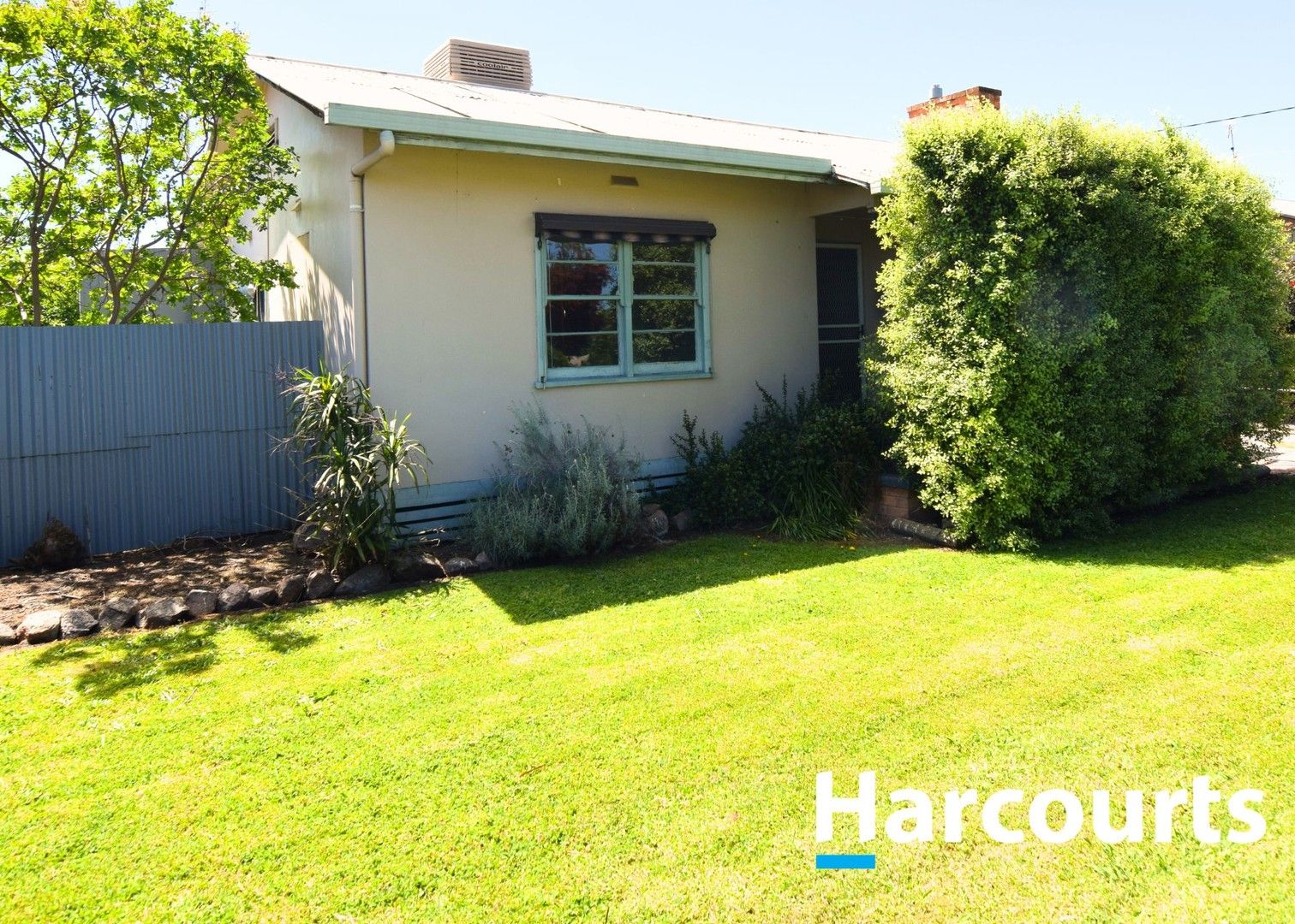 14 Morrell Street, Wangaratta VIC 3677 House For Rent Domain