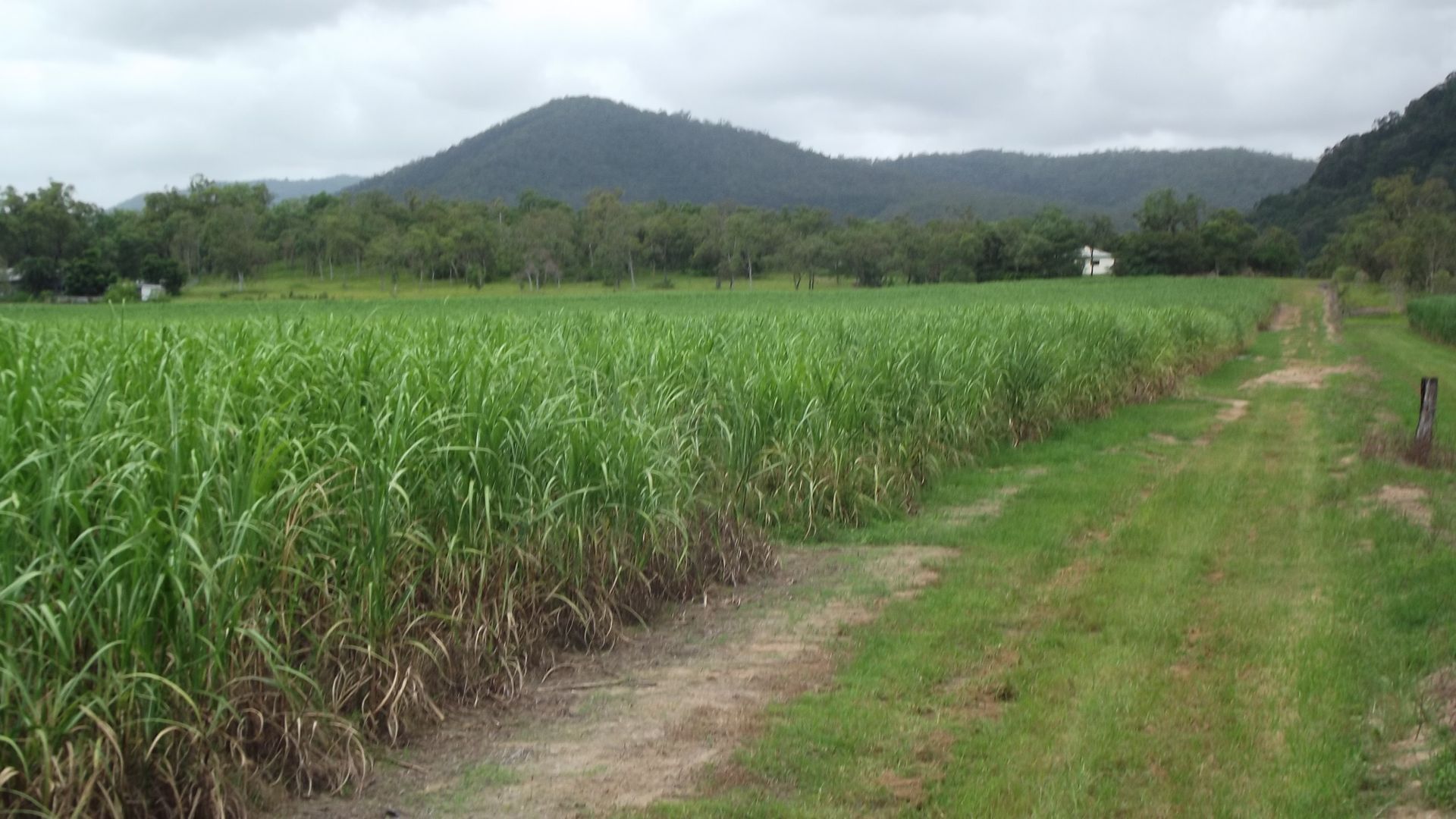 Sunnyside QLD 4737, Image 1