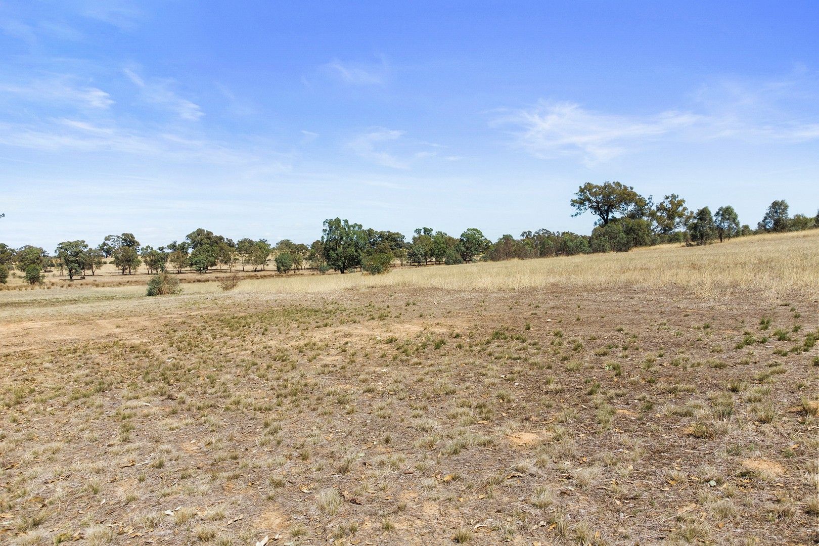 Lot 20 Axedale Goornong Road, Axedale VIC 3551, Image 0