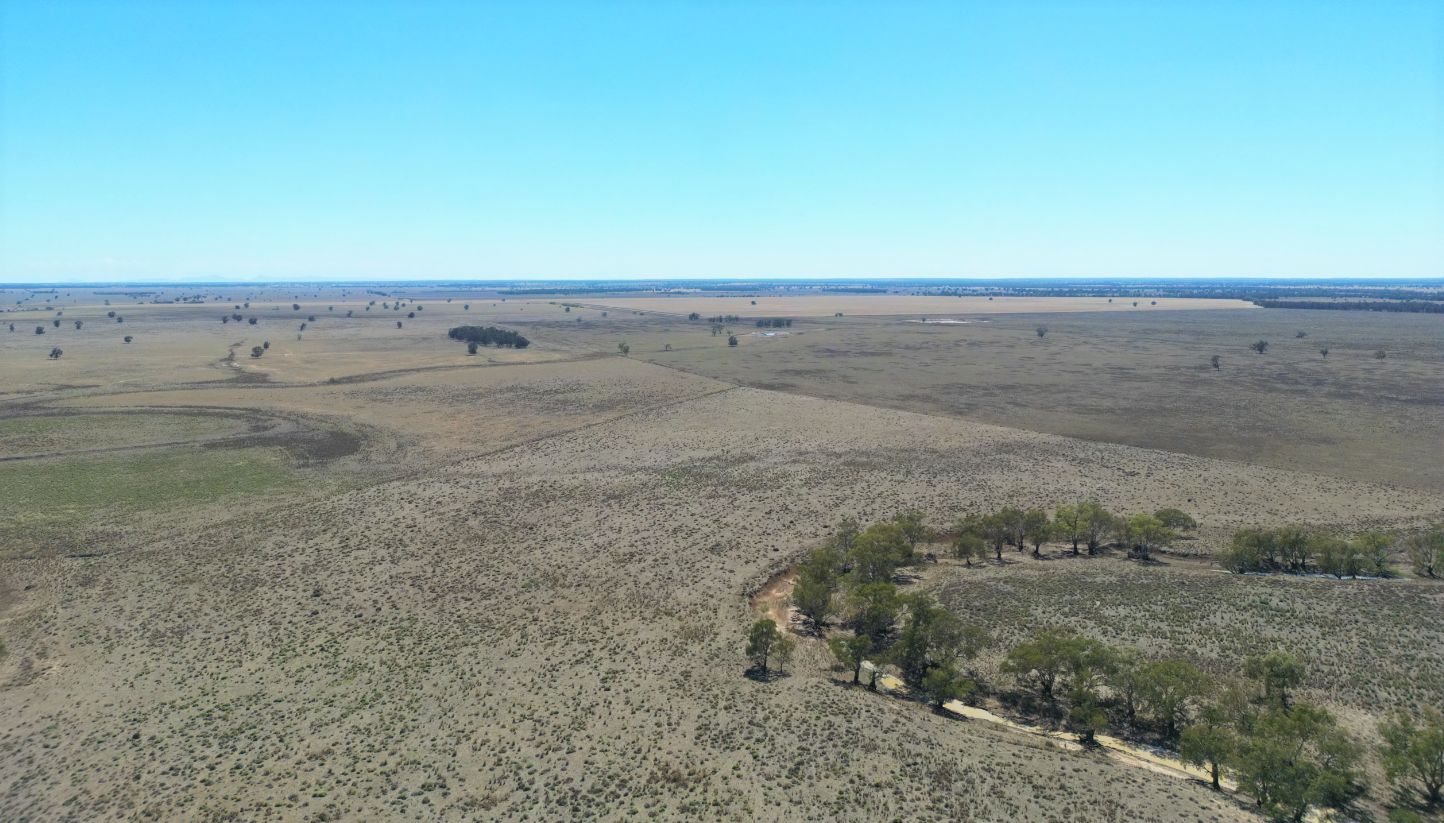 2758 Collie Trangie Road, Trangie NSW 2823 Farm for Sale Domain