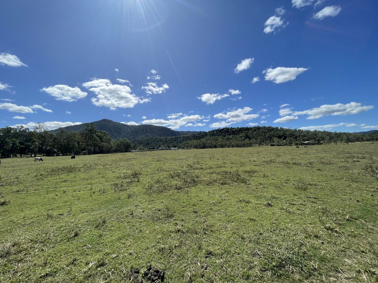 44 De Boni Road, Gregory River QLD 4800, Image 0