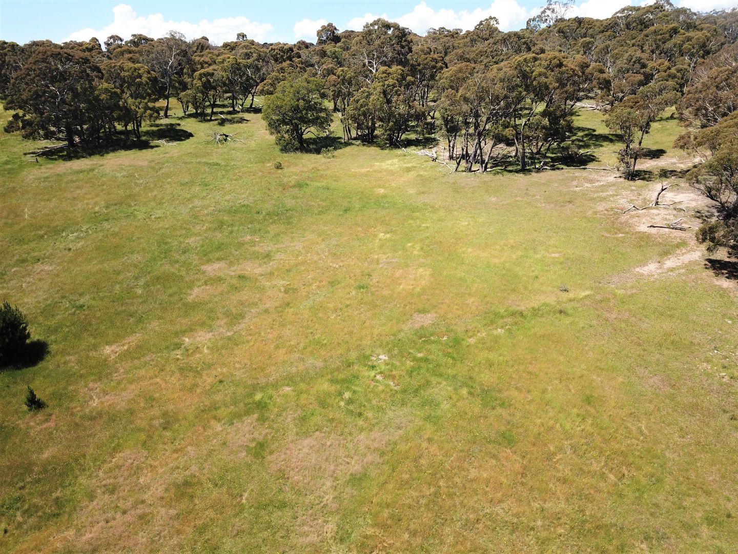 Lot 2 Rosemeath Road, Bombala NSW 2632, Image 2