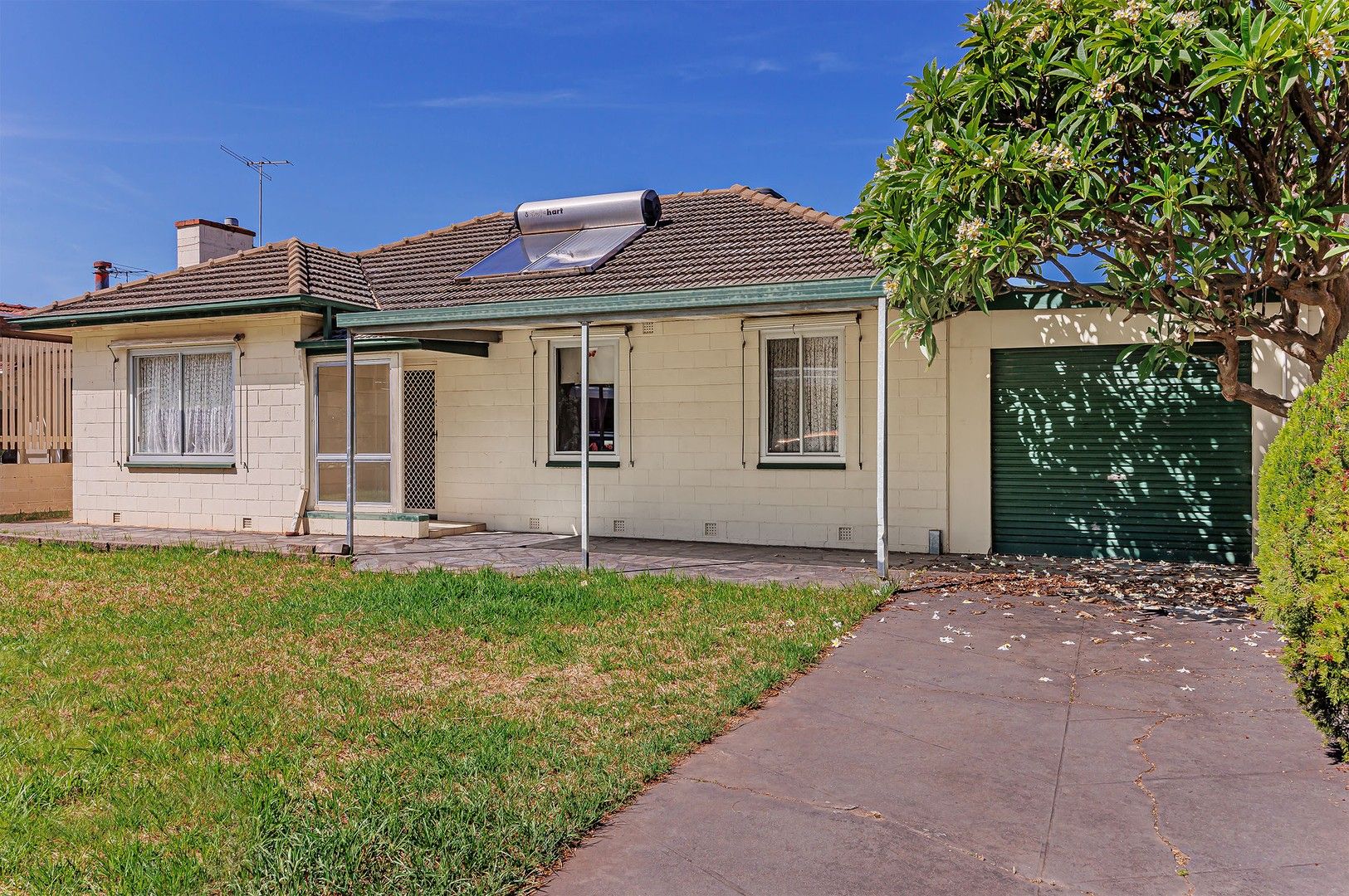 179 Sturt Road, Gardens SA 5047 House For Rent 495 Domain