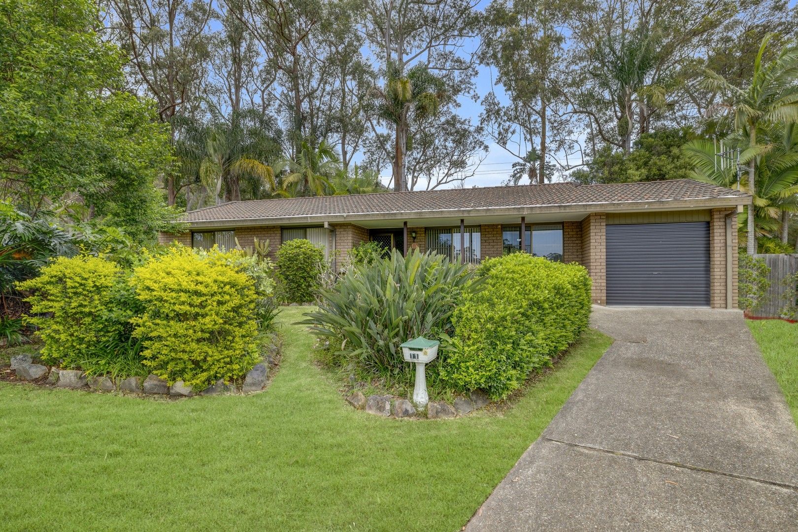 11 Oak Close, Lakewood NSW 2443, Image 0