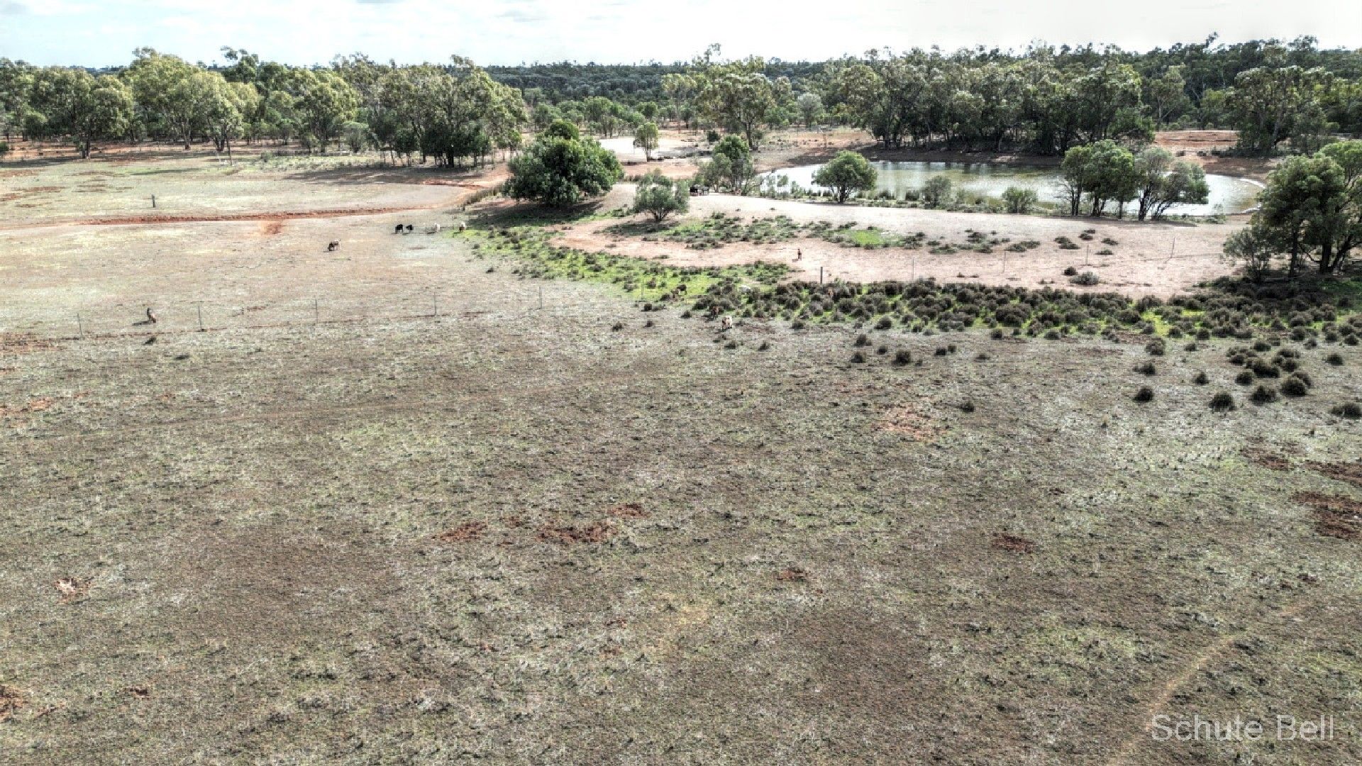 Louth NSW 2840 House for Sale Domain