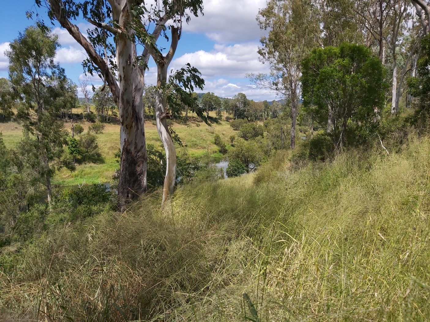 Patrick Estate QLD 4311, Image 0