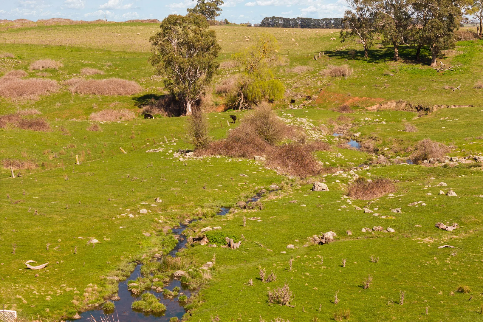 Additional image 16 of Millthorpe NSW 2798