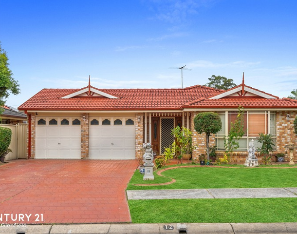 12 Dowding Close, Cecil Hills NSW 2171