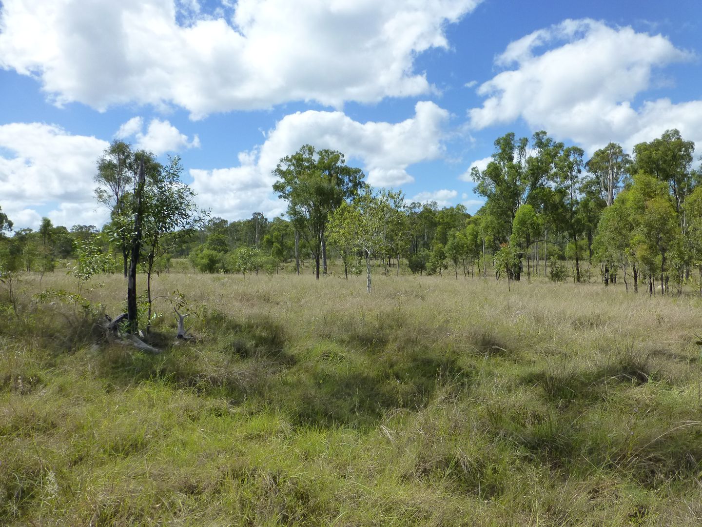 Eureka QLD 4660, Image 1