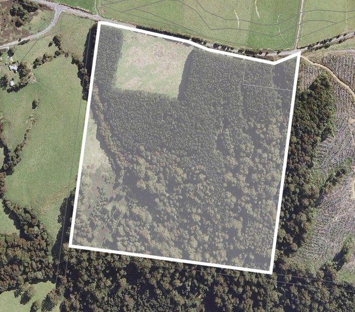 Beechforest Road, Beech Forest VIC 3237, Image 1