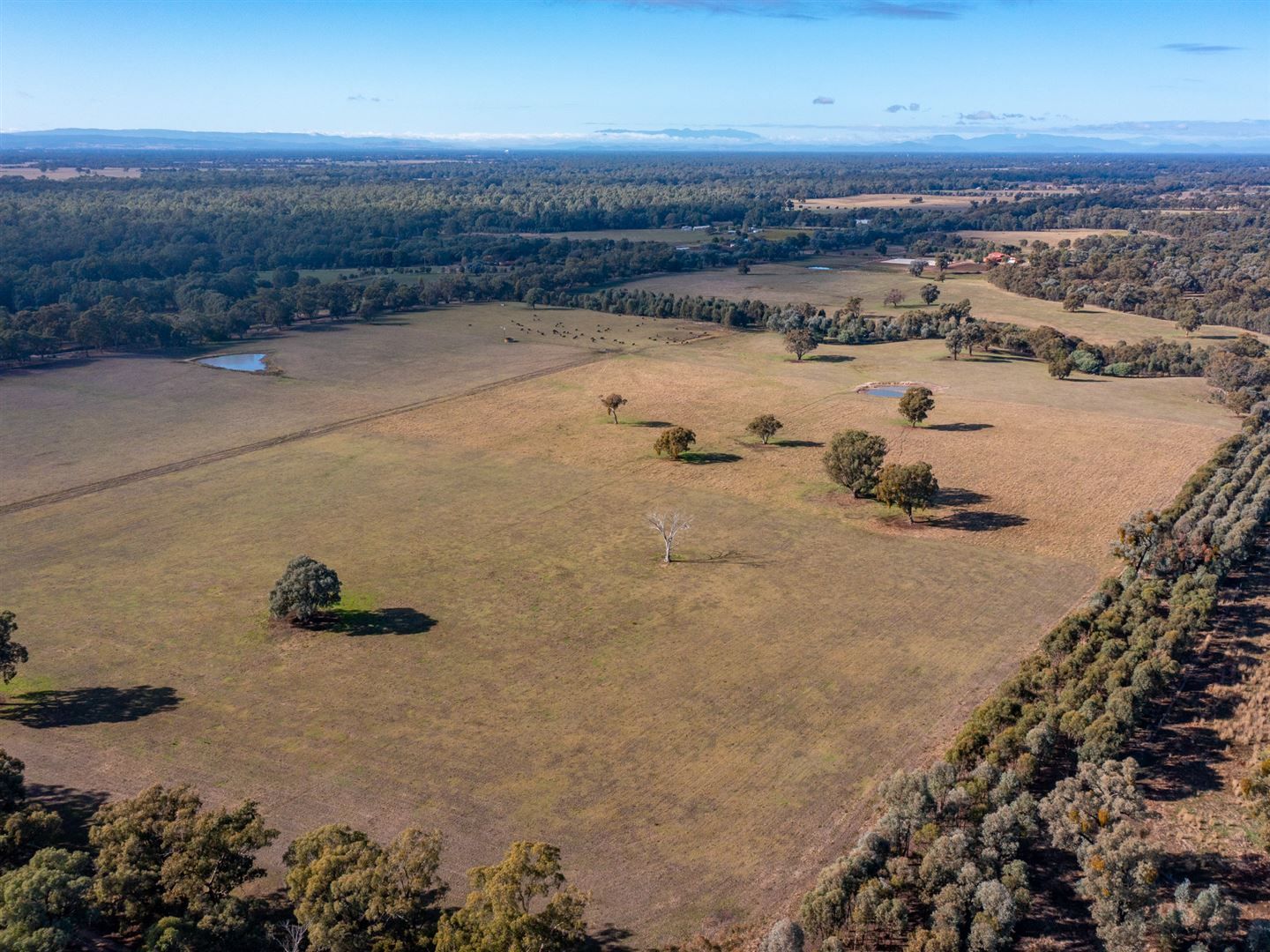 00 Wangaratta-Yarrawonga Road, Killawarra VIC 3678, Image 2