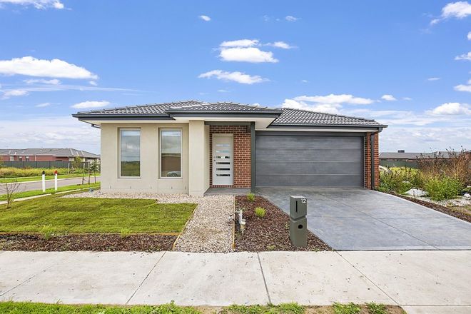 Picture of 12 Ruff Way, MELTON SOUTH VIC 3338