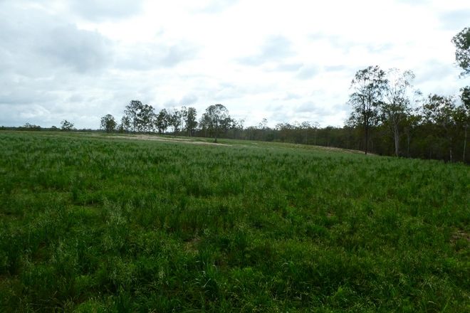 Picture of PROMISEDLAND QLD 4660