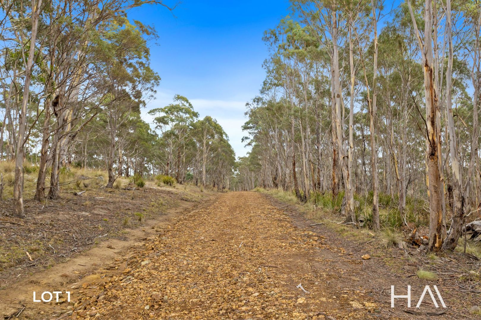 3229 Nugent Road, Buckland TAS 7190 Vacant Land for Sale Domain
