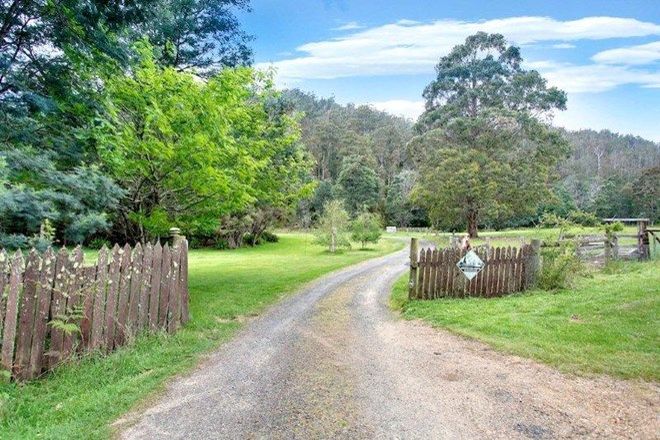 Picture of 233 Camden Hill Road, TARGA TAS 7259