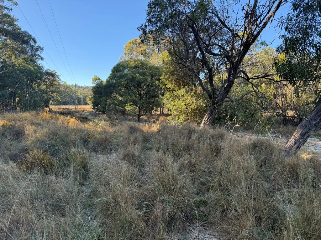 Image 12