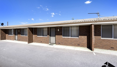 Picture of 5/17-19 Francis Street, GERALDTON WA 6530