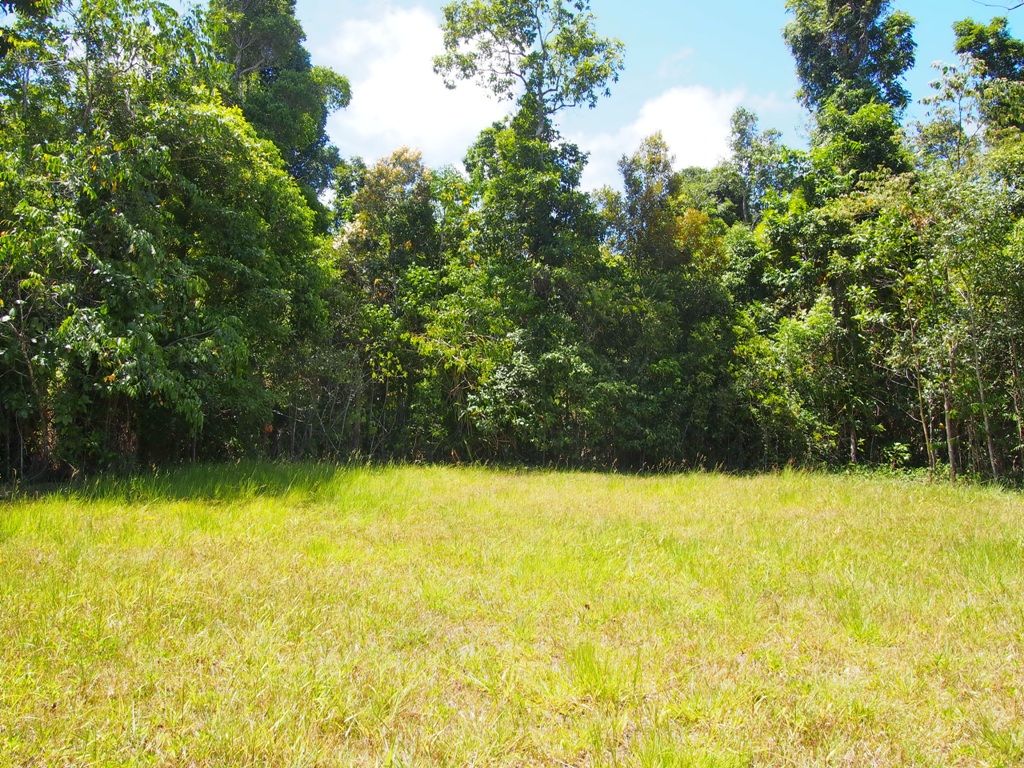 Lot 4 El Arish-Mission Beach Road, Mission Beach QLD 4852, Image 0