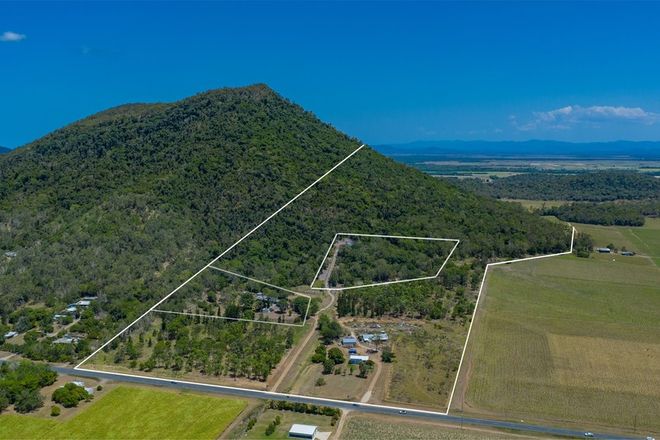 Picture of 1010 Shute Harbour Road, MOUNT MARLOW QLD 4800