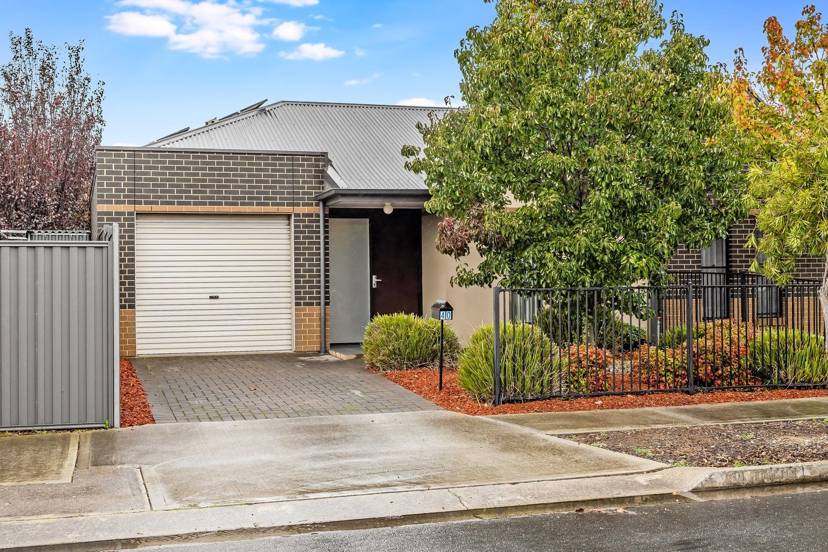 40 Ferry Avenue, Plympton Park SA 5038, Image 0