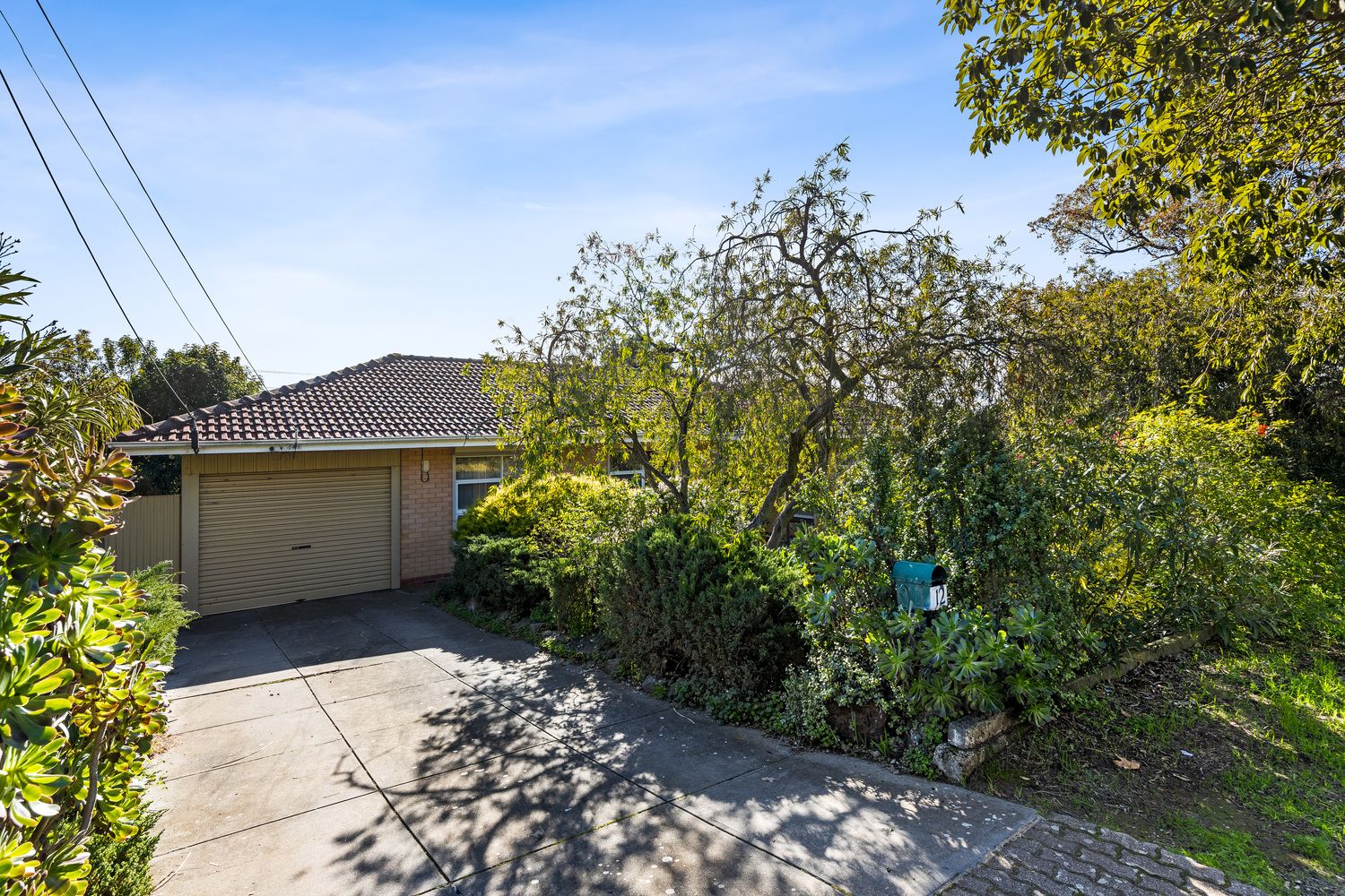 12 Tasman Avenue, Gilles Plains SA 5086, Image 1