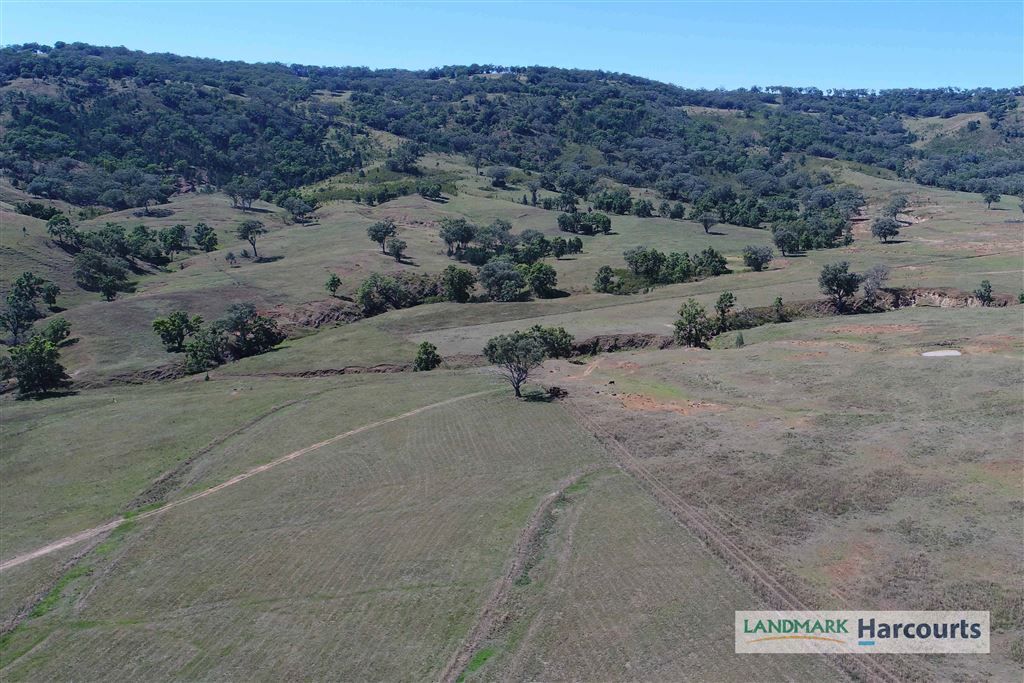 438 Riverstone Road, Upper Horton NSW 2347, Image 0