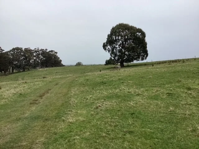 Image 9