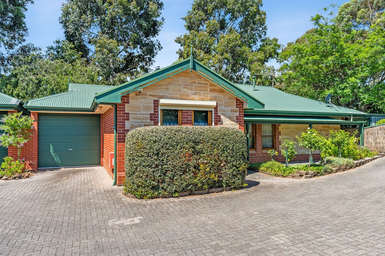 1/2 Price Avenue, Lower Mitcham SA 5062 Domain