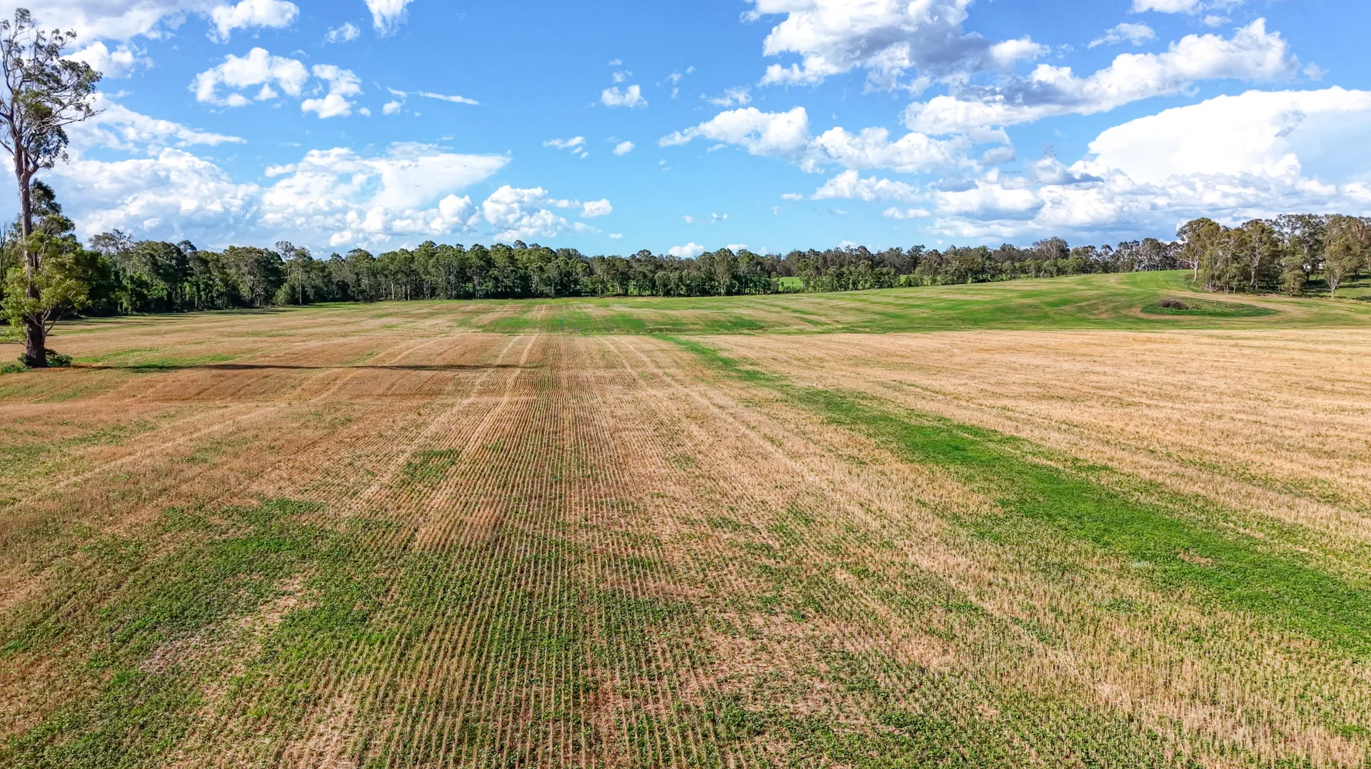 Additional image 21 of 119 Paddys Flat Road, Tabulam NSW 2469