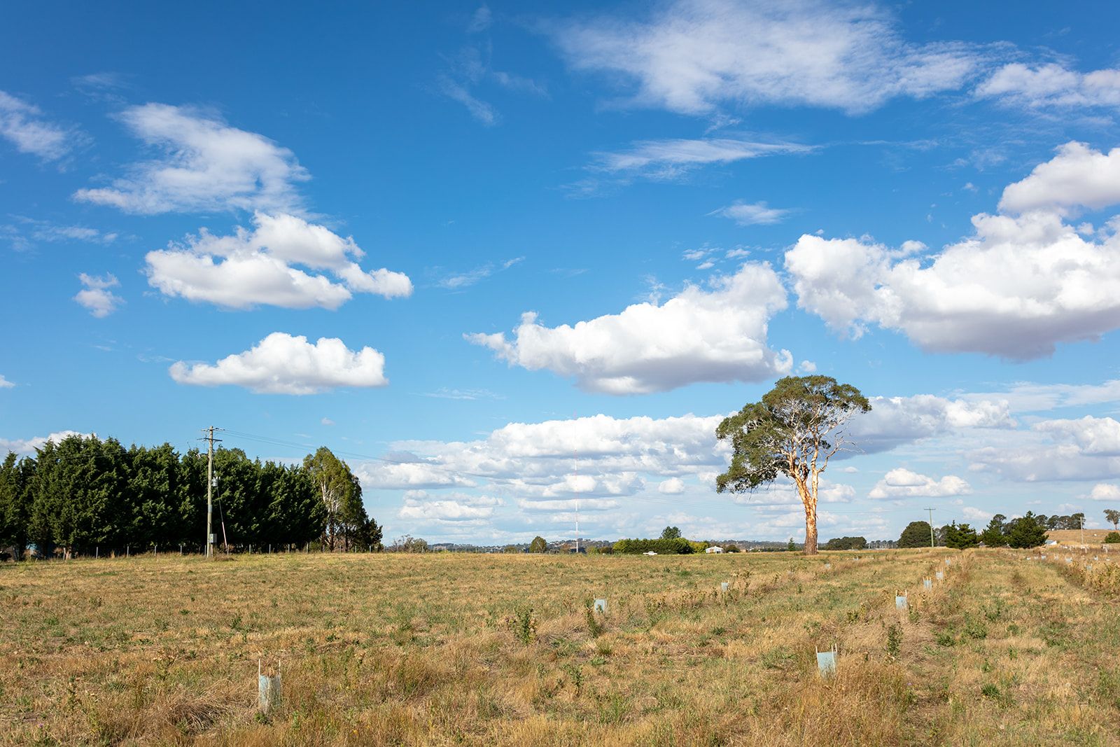 Lot 5 - 65 Eucalyptus Close, Forest Reefs NSW 2798, Image 2