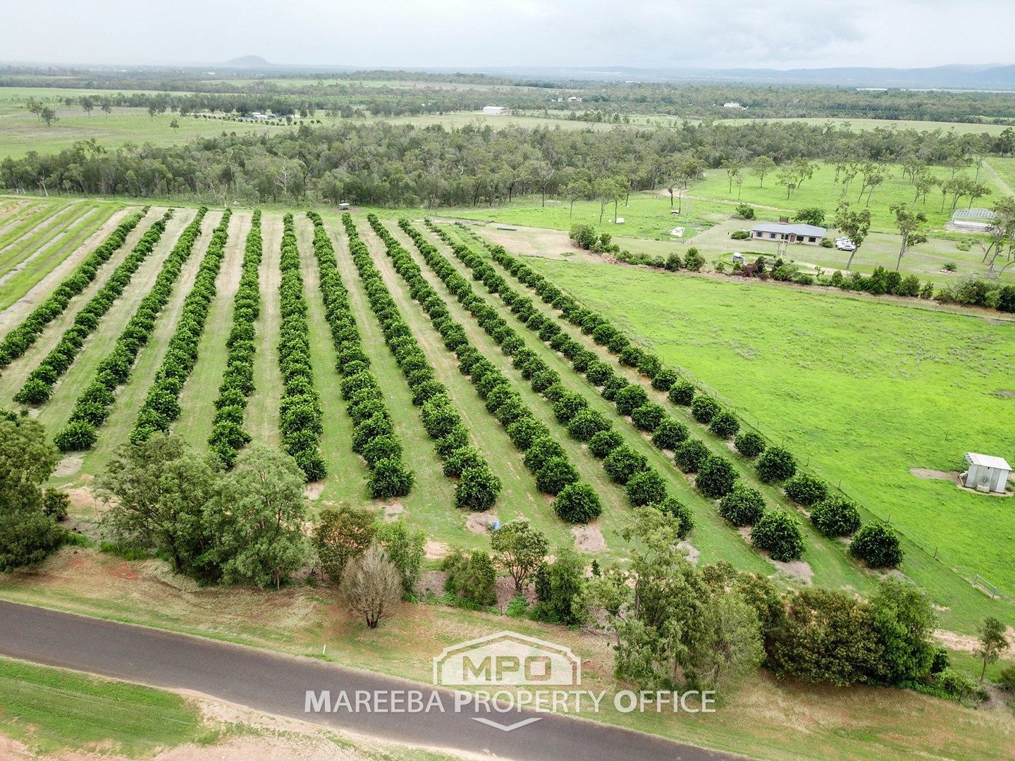 171 Shanty Creek Road, Mareeba QLD 4880 House for Sale Domain