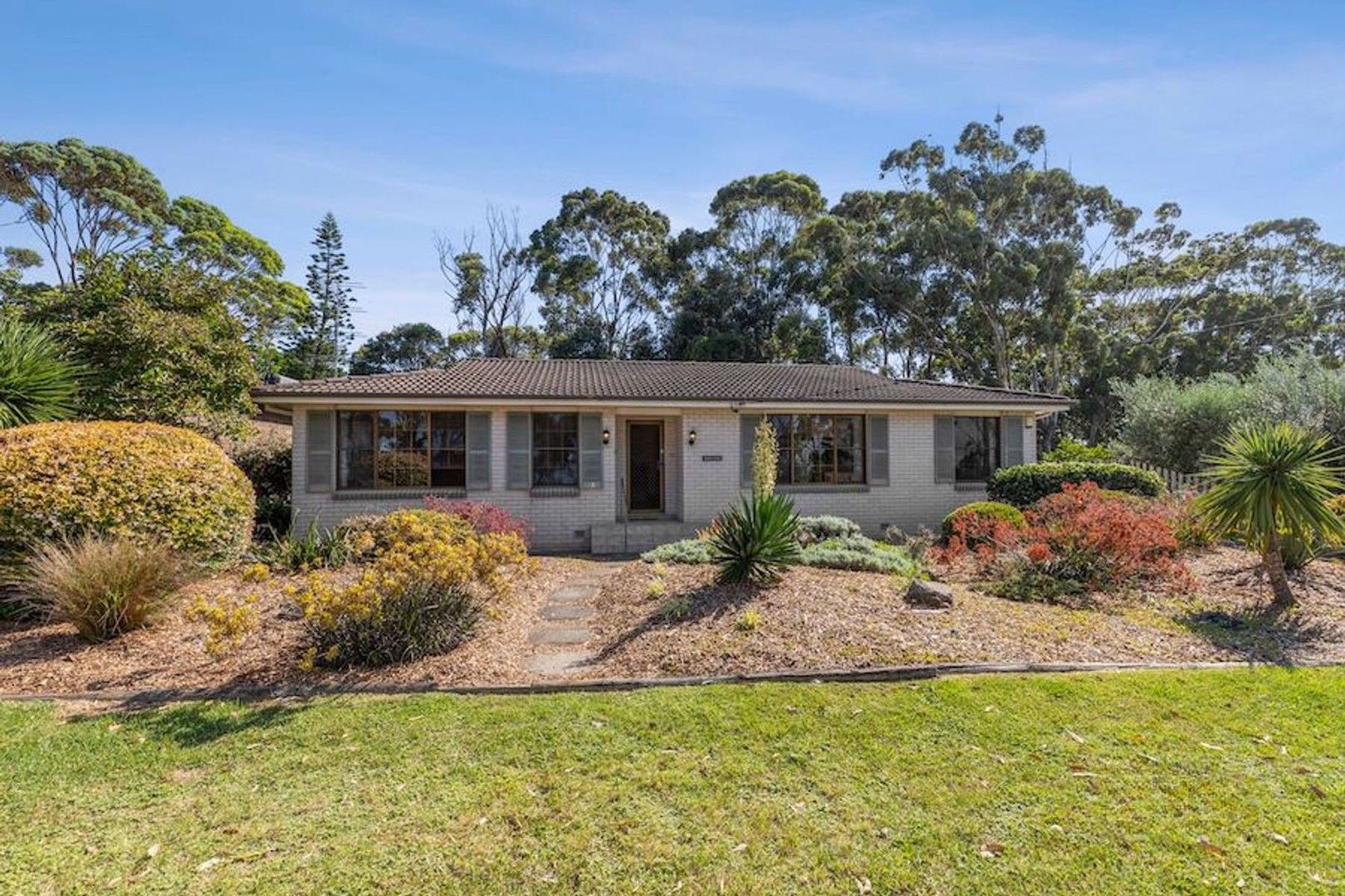 87 Bannister Head Road, Mollymook NSW 2539 House For Rent Domain