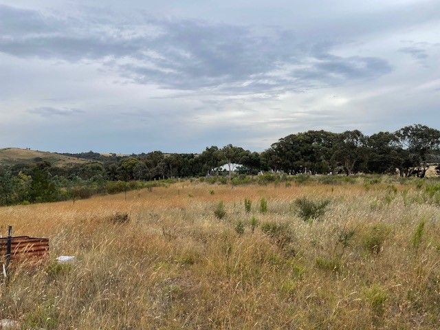 Lot 127 Kiowarra Road, Bevendale NSW 2581, Image 1