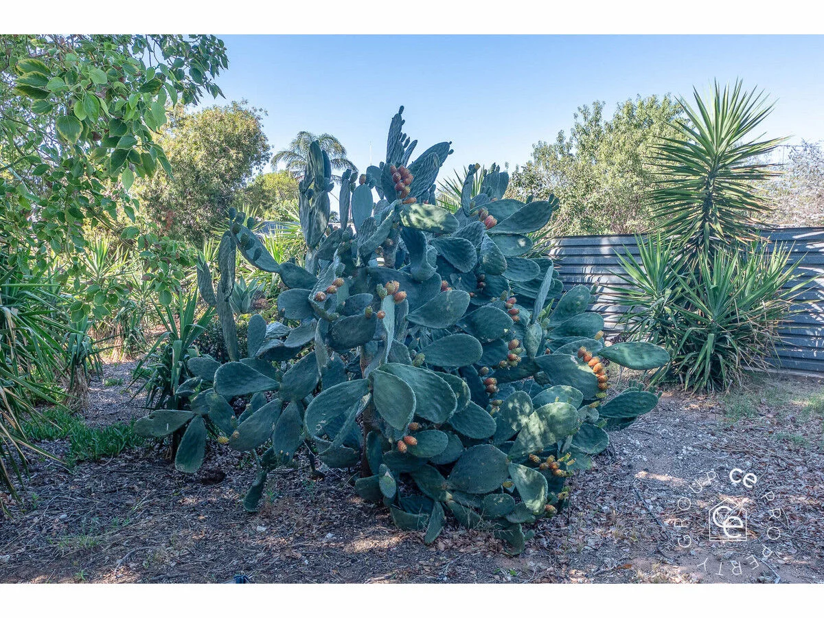 Additional image 31 of 80 Adelaide Road, Mannum SA 5238