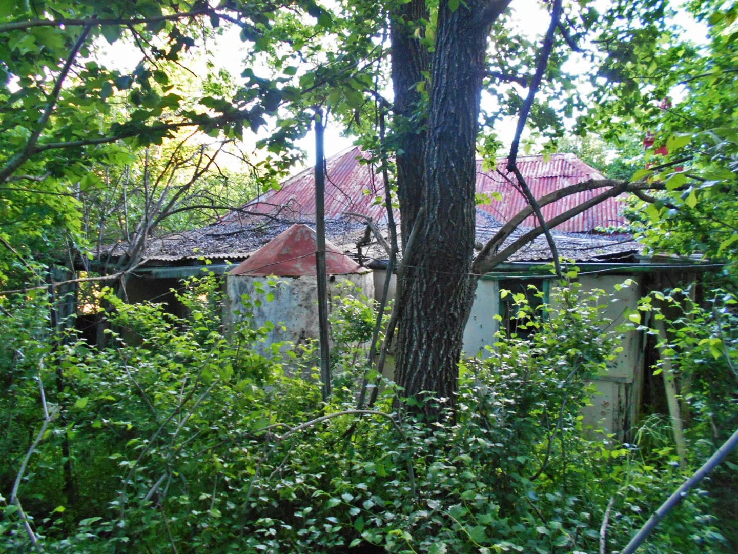 Image 6