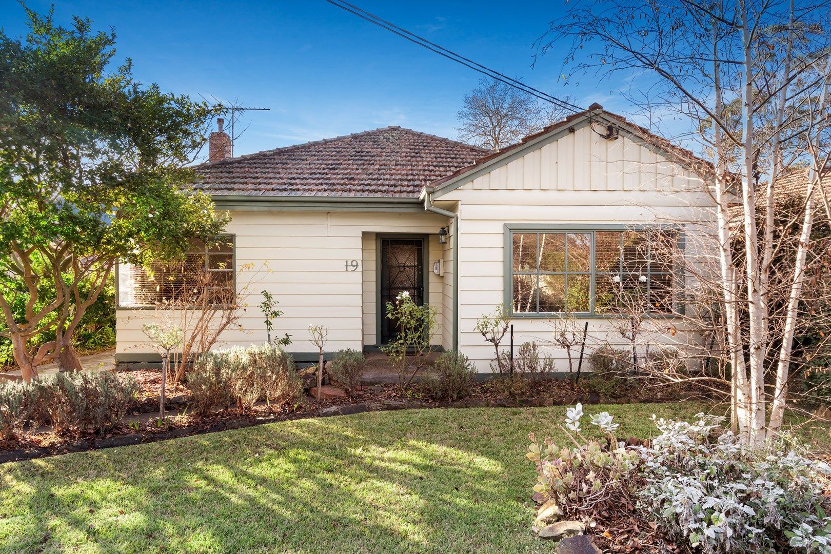 19 Mckean Street, Box Hill North VIC 3129, Image 0