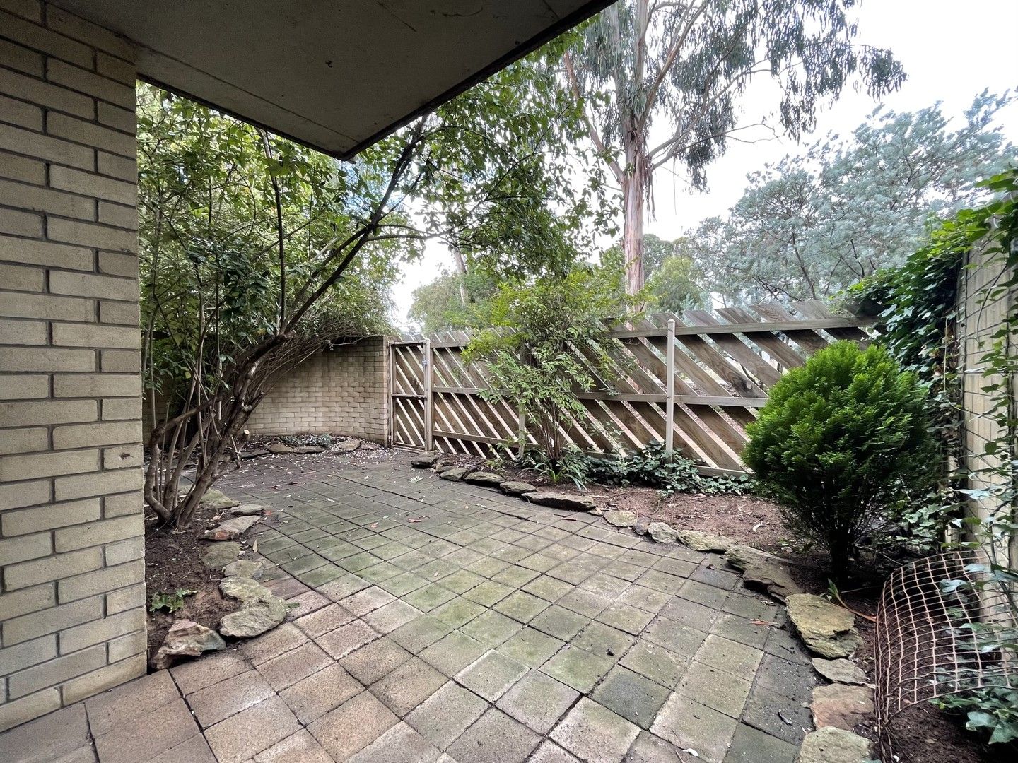 34A/52 Forbes Street, Turner ACT 2612 Apartment For Rent Domain