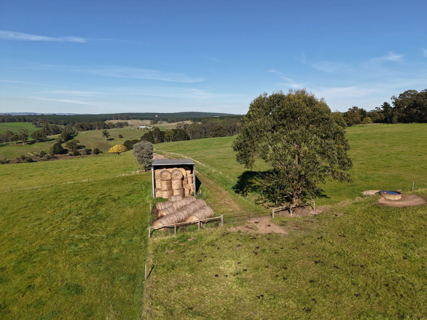 Image 24