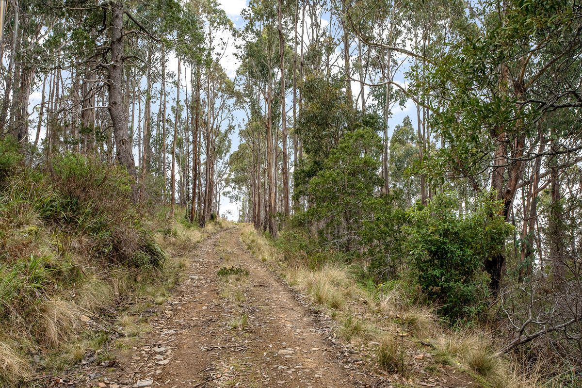 Moss Beds Road, Lachlan TAS 7140, Image 2