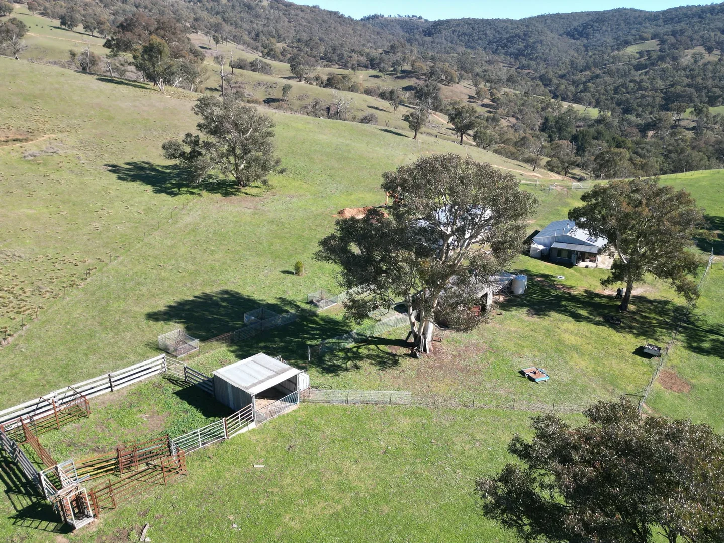 Image 21
