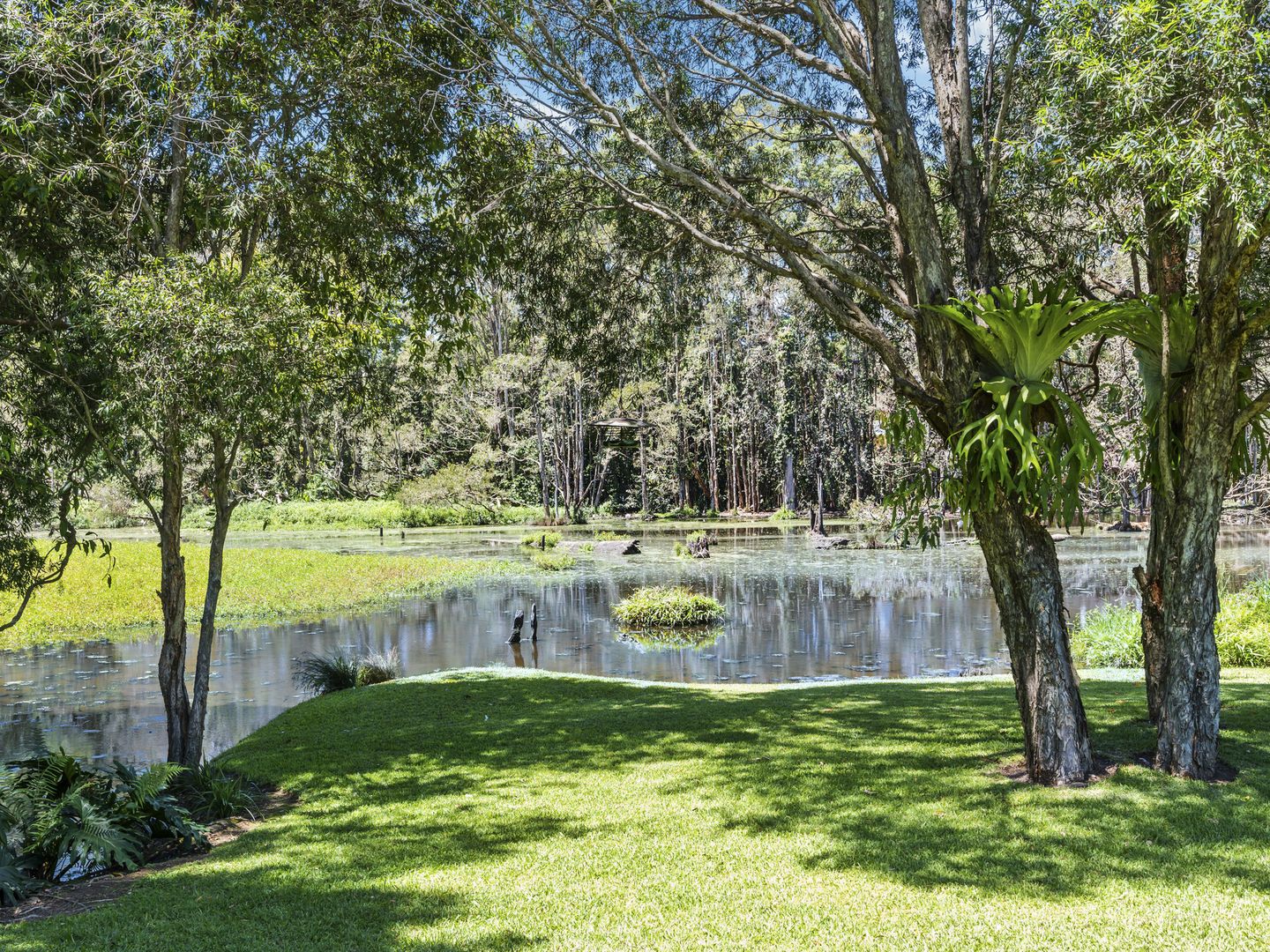 6 Barn Owl Court, Boambee East NSW 2452, Image 1