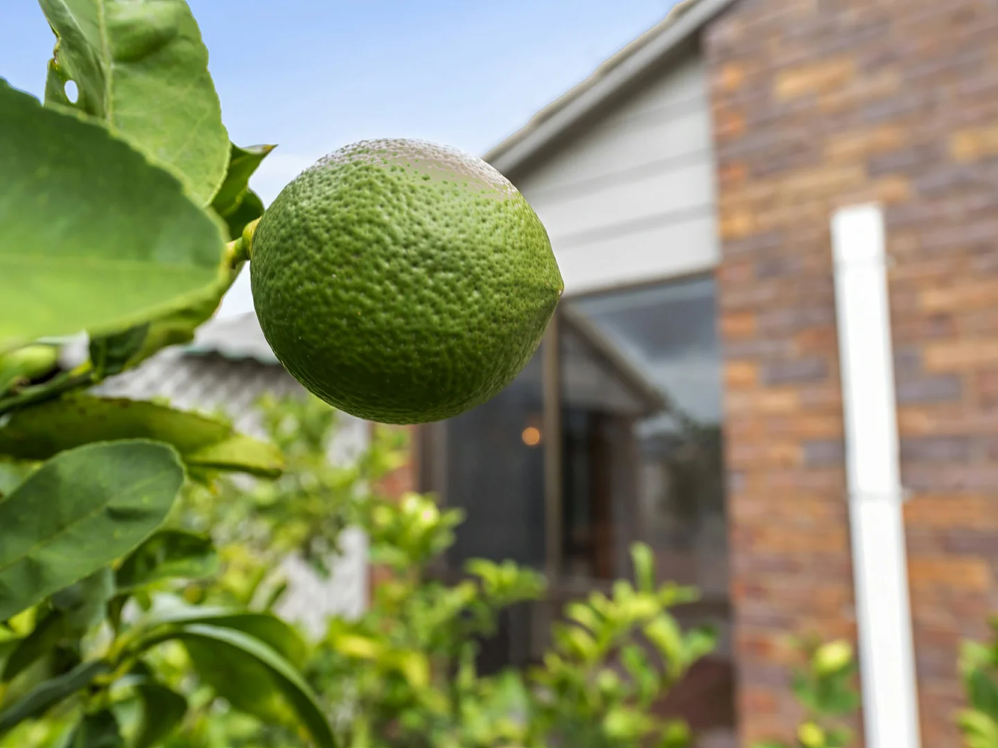 Additional image 26 of 12 Jasmin Drive, Bongaree QLD 4507