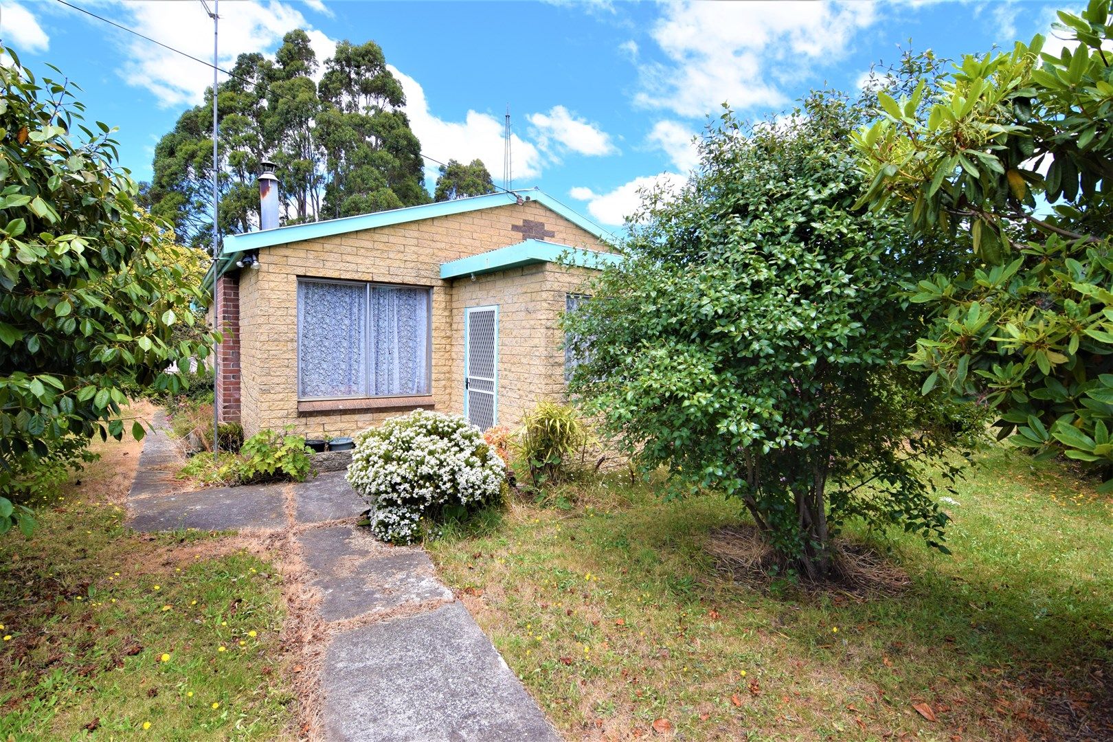 1099 Murchison Highway, Elliott TAS 7325, Image 0