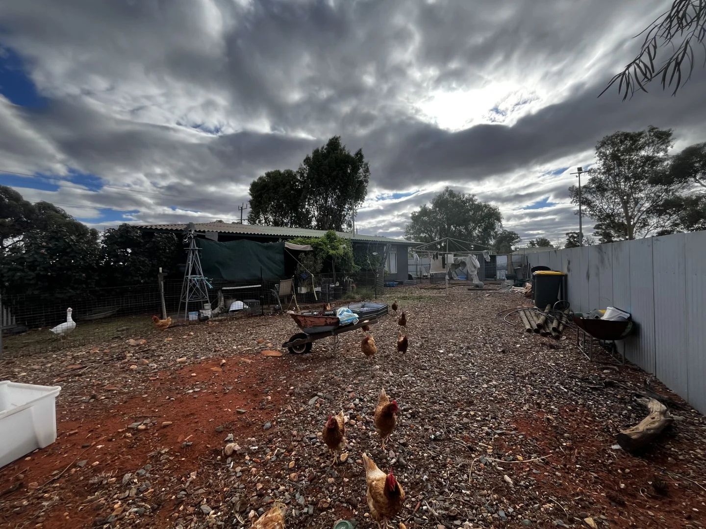 Additional image 14 of 31 Craiggie Street, Laverton WA 6440