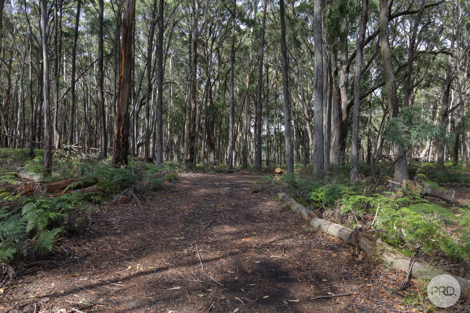 Additional image 4 of 266 Treweeks Road, Blampied VIC 3364