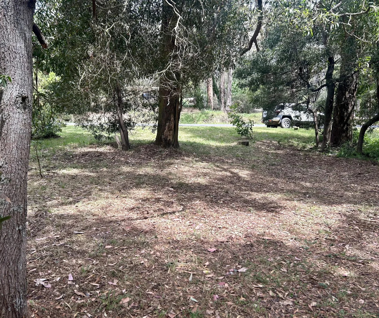 Image 8