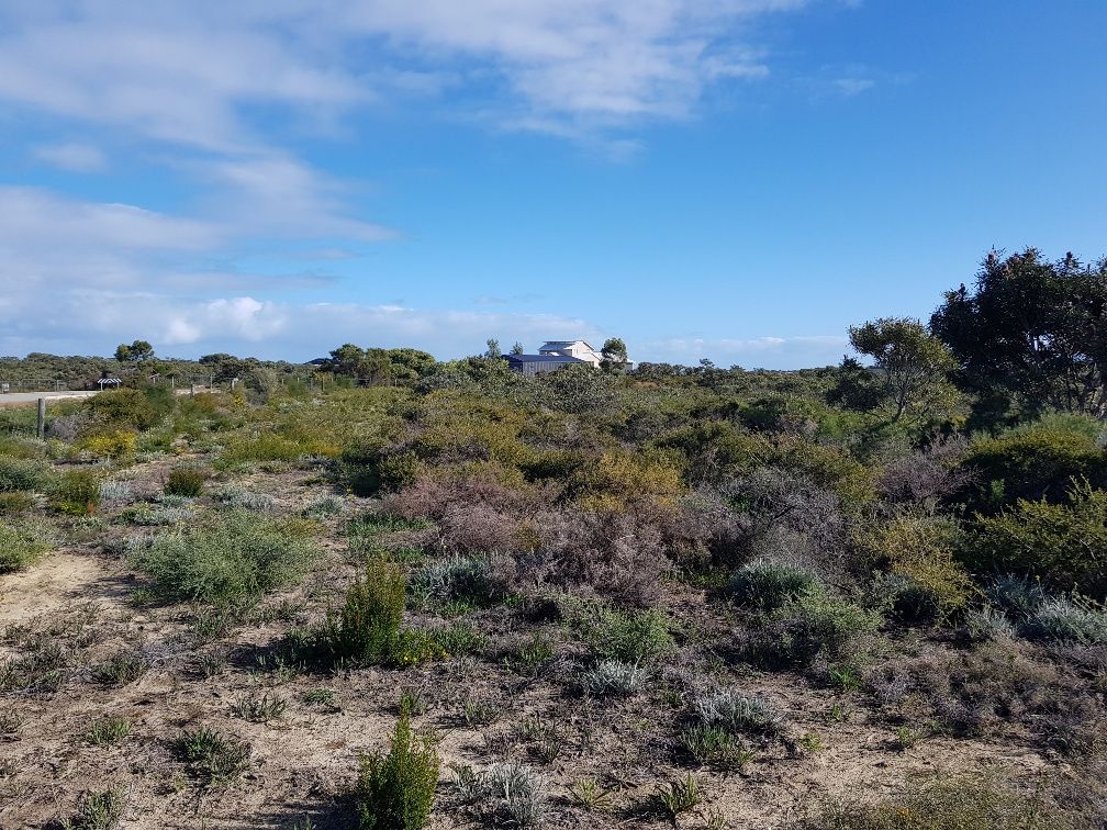 314 EMMA Court, Jurien Bay WA 6516 Vacant Land for Sale 238,000