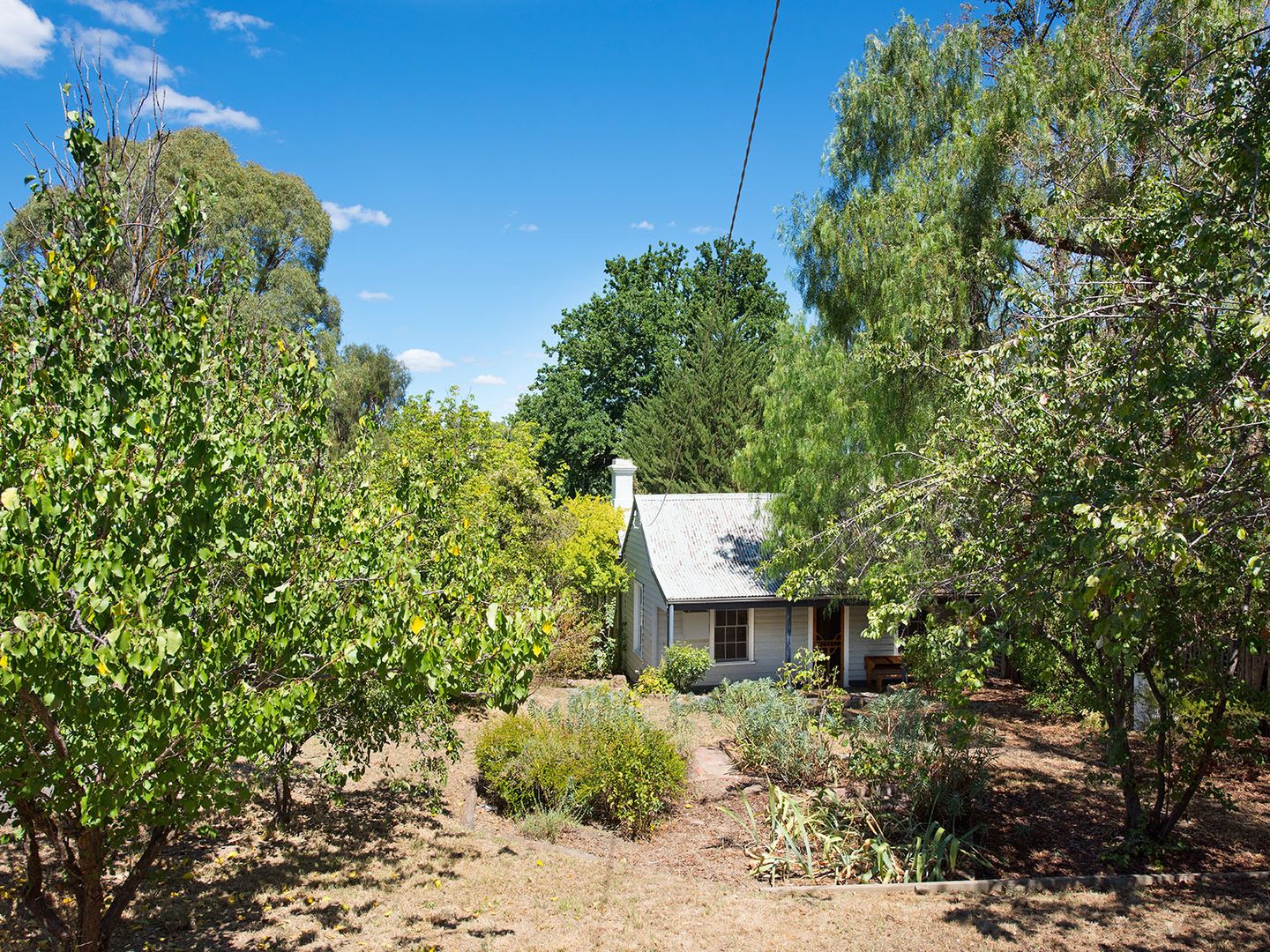 36 Bull Street, Castlemaine VIC 3450, Image 1